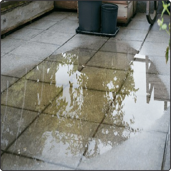 છત પર પાણી ભરાયેલું રહેવું (Standing Water on Terrace)